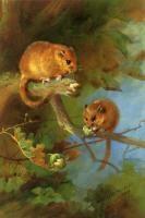 Thorburn, Archibald - Dormice